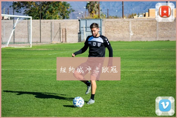 纽约城冲击欧冠