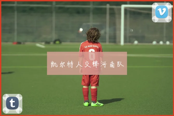凯尔特人交锋河南队