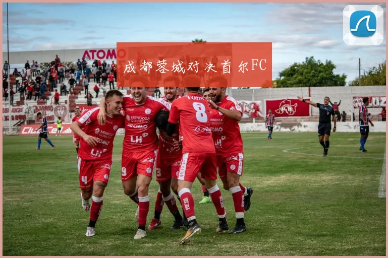 成都蓉城对决首尔FC