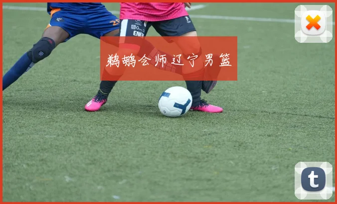 鹈鹕会师辽宁男篮