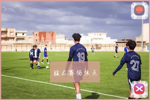 猛龙赛场焦点