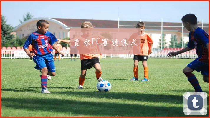 首尔FC赛场焦点