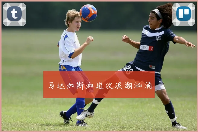 马达加斯加进攻浪潮汹涌