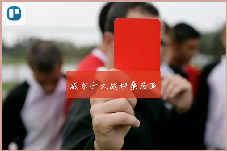 威尔士大战坦桑尼亚