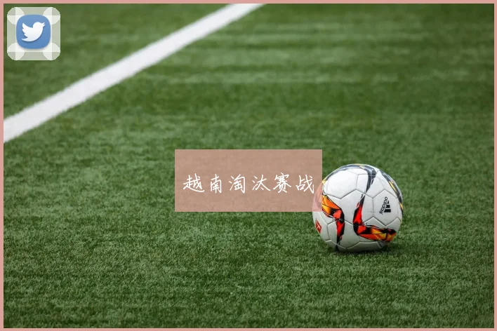 越南淘汰赛战