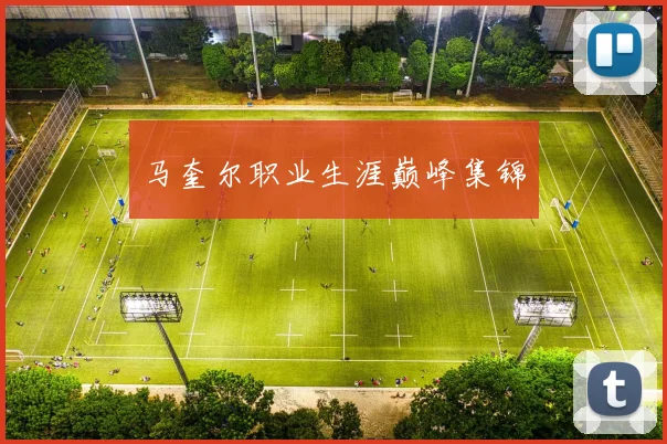 马奎尔职业生涯巅峰集锦