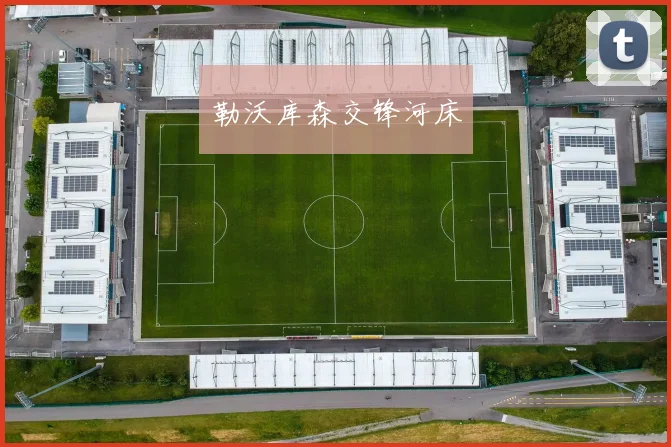 勒沃库森交锋河床