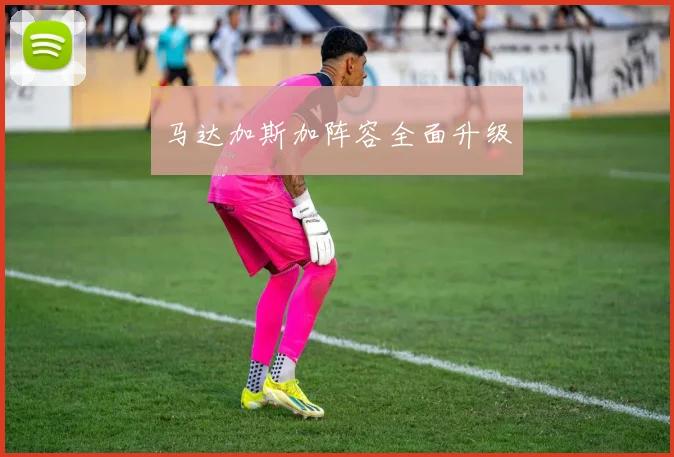 马达加斯加阵容全面升级