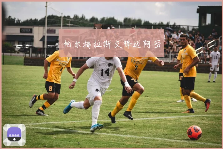 帕尔梅拉斯交锋迈阿密