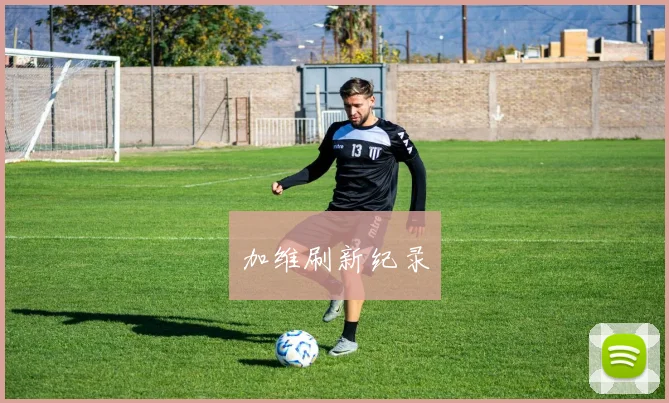 加维刷新纪录