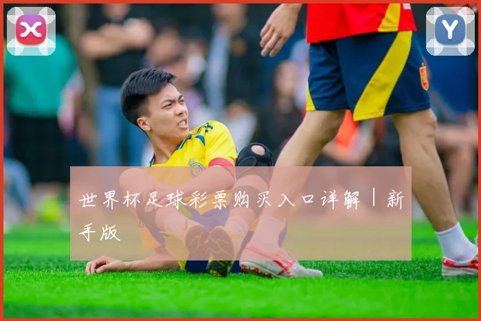 世界杯足球彩票购买入口详解｜新手版