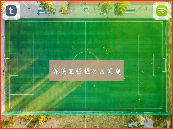 佩德里强强对话莱奥