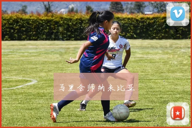 马里会师纳米比亚