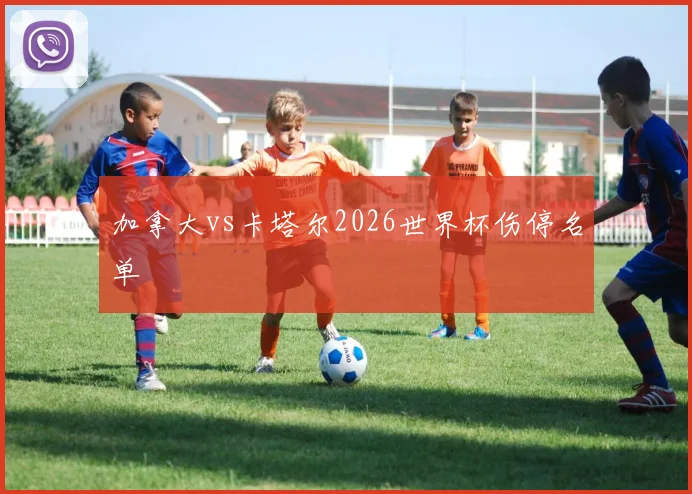 加拿大vs卡塔尔2026世界杯伤停名单