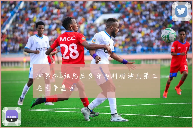 世界杯E组厄瓜多尔与科特迪瓦第三名竞争盘点
