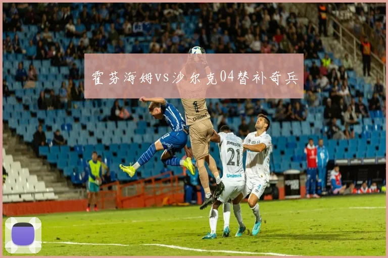 霍芬海姆vs沙尔克04替补奇兵