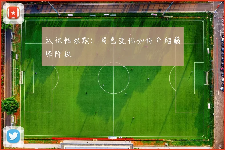 认识帕尔默：角色变化如何介绍巅峰阶段