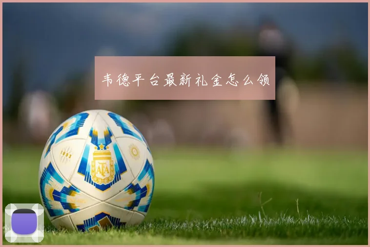 韦德平台最新礼金怎么领