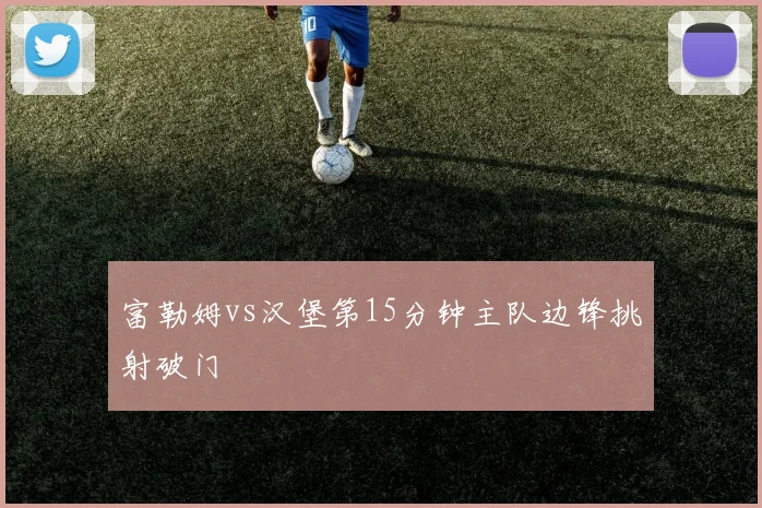 富勒姆vs汉堡第15分钟主队边锋挑射破门
