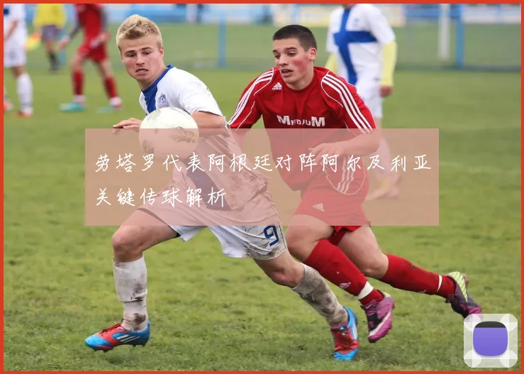 劳塔罗代表阿根廷对阵阿尔及利亚关键传球解析